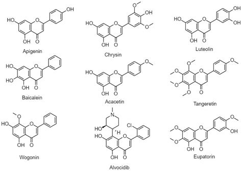 Flavonoids in Cancer and Apoptosis