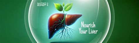 Nourish Your Liver: Food and Lifestyle Tips for Detox – Nutriburstindia
