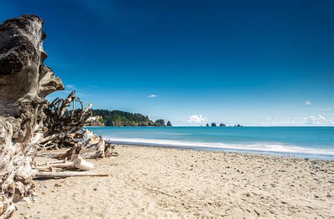 La Push Beach Camera
