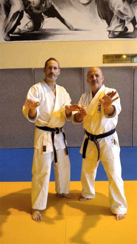 Uechi-Ryu Karate 的图像结果