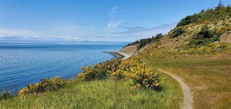 FORT EBEY STATE PARK - All You Need to Know BEFORE You Go 2026 (with ...