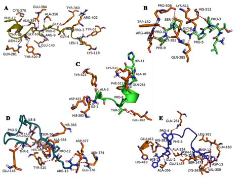 ACE Inhibitory Peptides from Bellamya bengalensis Protein Hydrolysates ...