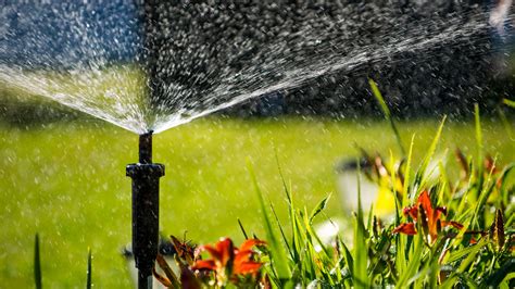 How to winterize a sprinkler system in 4 easy steps | Gardeningetc