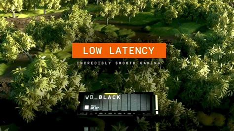 WD_Black SN850X NVM2 SSD, la unidad que predice lo que vendrá en el ...