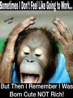 Boring 的图像结果