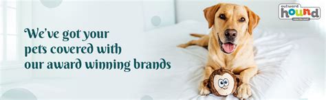 Outward Hound Hide N' Slide Treat Dispensing Brain & Exercise Game For ...