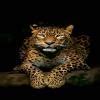 explain with an example that alloying changes the properties of yhe ...