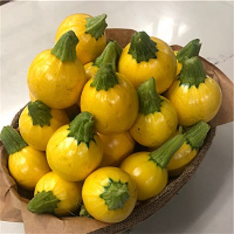 Round Yellow Squash
