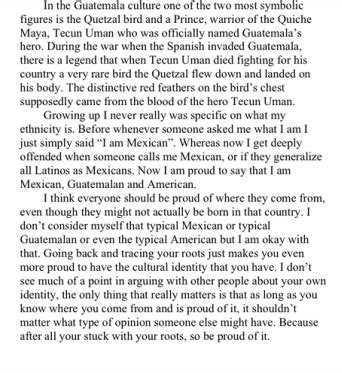 Cultural Identity Essay Example 的图像结果