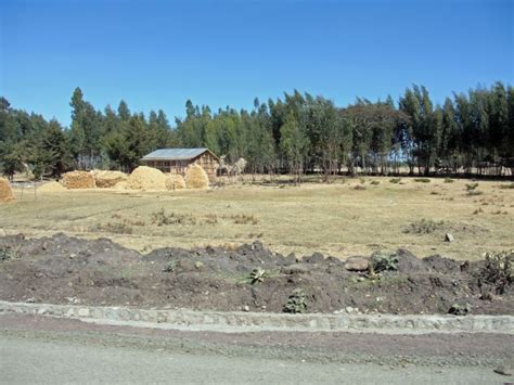 Sendafa Tourism (2026) Ethiopia - Best Places to Visit in Sendafa ...