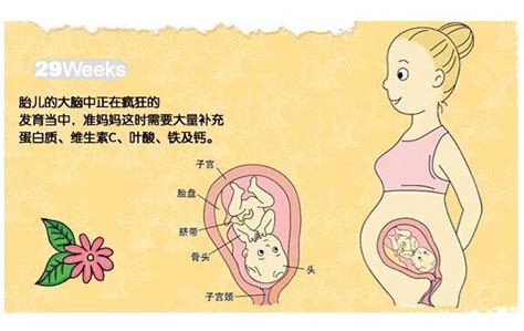 懷孕16周，胎動經常在右邊就是懷的女寶嗎？快看醫生是怎麼說的 - 每日頭條