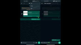 WhatsApp's new feature will make it easy to rectify fat-finger errors ...