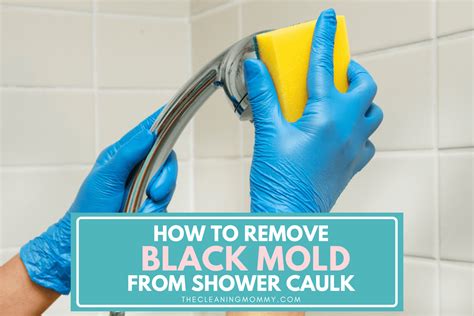 Removing Black Mold From Shower Ceiling at Bruce Green blog