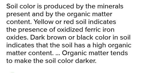 what is yellow brown soil?don't spam dear - Brainly.in