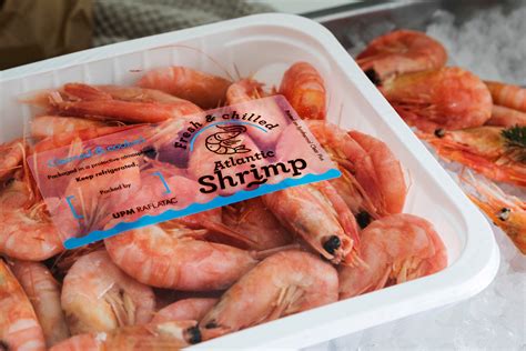 UPM Raflatac expands food labeling range with four new food-safe ...