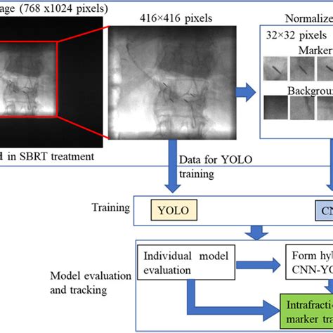 Image result for Data Processing Training