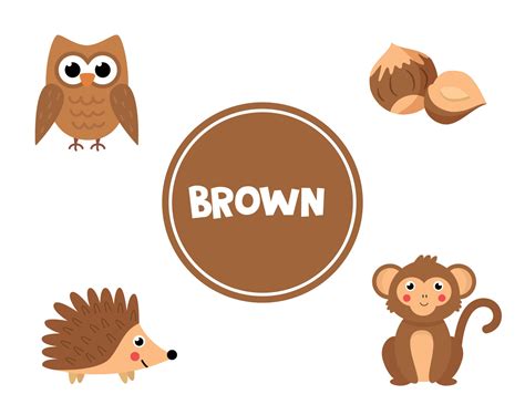 Brown Color Objects For Kindergarten at Phyllis Lange blog