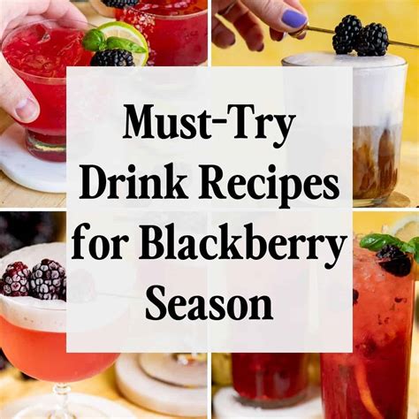 Must-Try Blackberry Drinks (Perfect for Blackberry Season!) - A Recipe ...