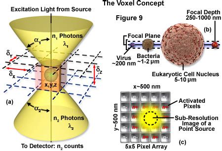 Microscope Image Processing 的图像结果