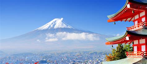 Tripico Travel Best Visa Services & Tour Operator in Noida