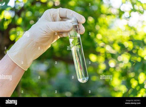 Nature Biotechnology 的图像结果