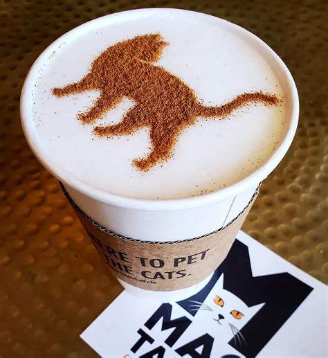 Mac Tabby Cat Cafe – That Cat Life