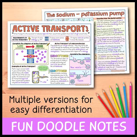 Image result for Active Transport Video Example