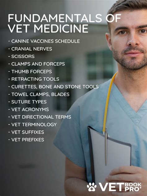Image result for Vet Tutorial