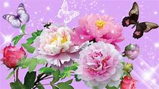 fiori e flower hd flower hd images wallpapers 3d pic photos fiori e flower hd flower hd images wallpapers 3d pic photos