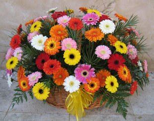 Colorful Sunshine Basket – ArenaFlowers