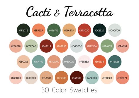 What Color Is Terracotta