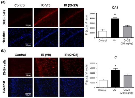 Preclinical Characterization of Antioxidant Quinolyl Nitrone QN23 as a ...