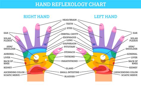 Printable Hand Reflexology Chart