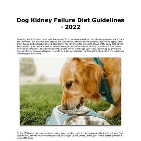 Dog Kidney Failure Diet Guidelines.pdf | DocDroid
