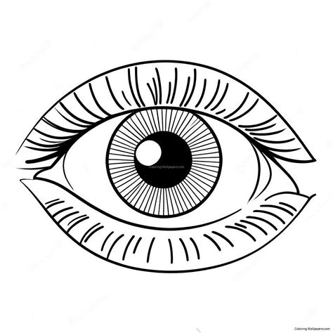 Eye Coloring Page (3510-2791)