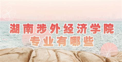 【艺考新资讯】湖南涉外经济学院2021年艺术类专业招生简章 - 知乎