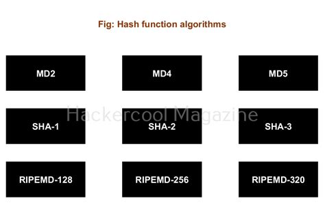 Image result for Algorithm Cryptography Binary