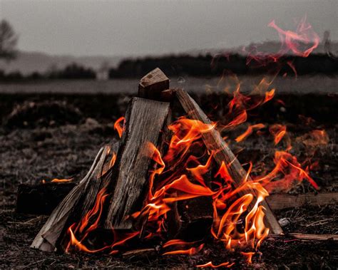Logs Are for Campfires: Integrate and Innovate With Splunk Asset and ...