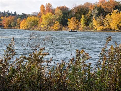 Shelby County Iowa GOP