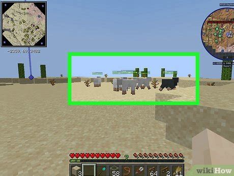 Image result for How to Make a Minecraft Java Wool Farm