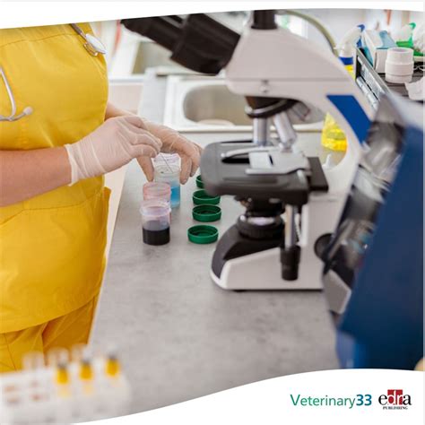 Laboratory and sample storage factors on urinary protein:creatinine ratios, clinical decision ...