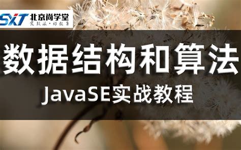 java基础必备JavaSE数据结构和算法全套视频教程_简单易学的JavaSE数据结构和算法教程_大白话学懂JavaSE数据结构和算法 ...