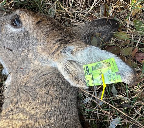 12 Signs Deer Hunters Should Harvest More Does