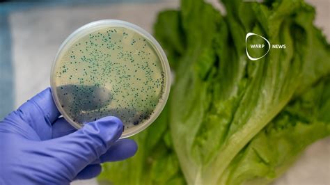 🦠 AI creates viruses that kill E. coli bacteria