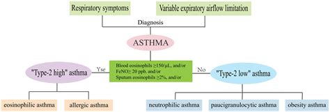 Frontiers | T-helper cells and their cytokines in pathogenesis and ...