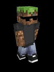 Image result for Minecraft Java Edition Skins