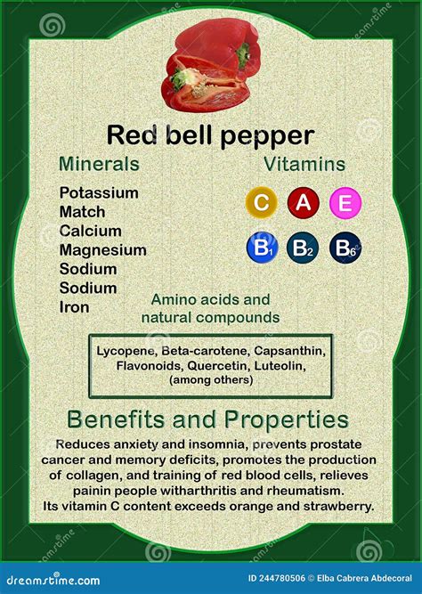 Health Benefits of Red Bell Pepper Stock Illustration - Illustration of organic, acids: 244780506