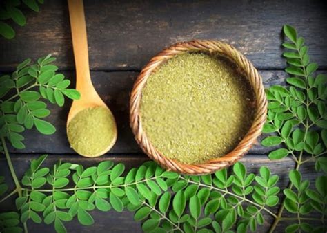 Moringa Powder For Hair - A Complete Hair Care Guide – VedaOils