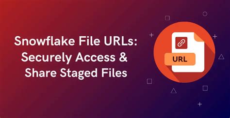 Image result for Snowflake Scan