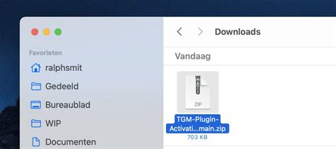 Beginners Guide To Tgm Plugin Activation | RJS